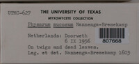 Image Associated With the Occurence